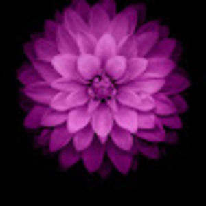 Meet your Posher, Whitney